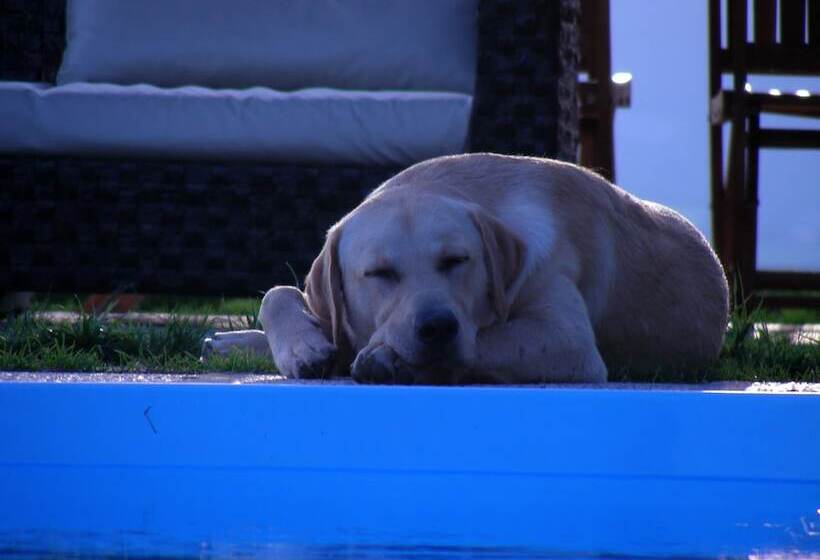 فندق Villa Podere Quartarola