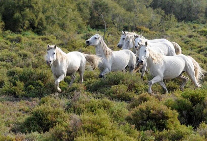 La Résidence Arles Centre