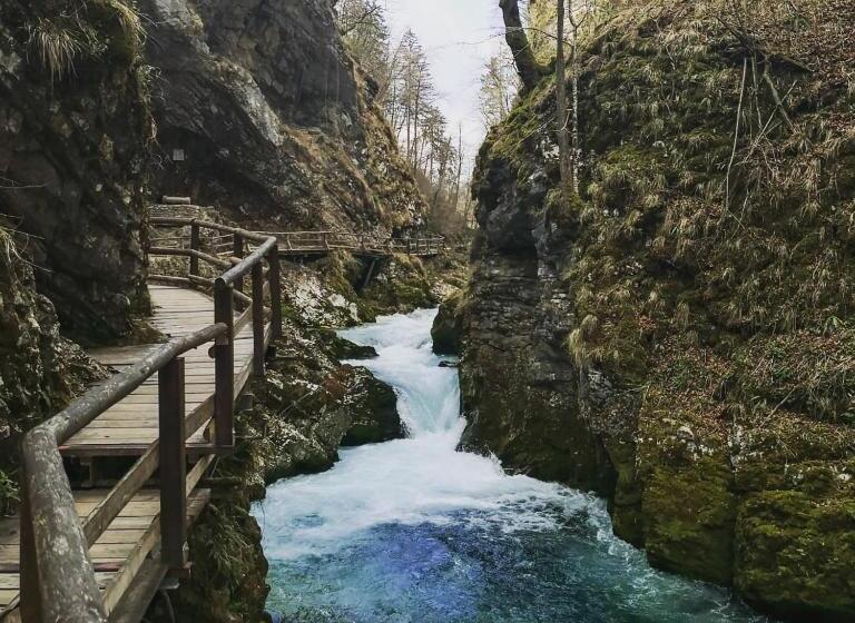 پانسیون Apartments Skok