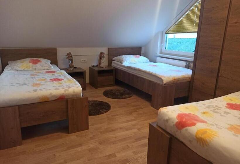 پانسیون Apartments Skok