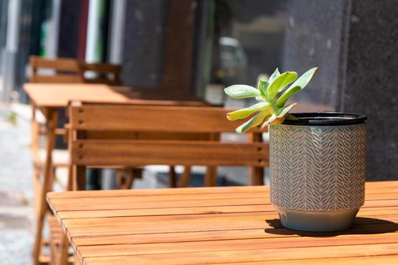 펜션 Arca Nova Guest House & Hostel Caminha