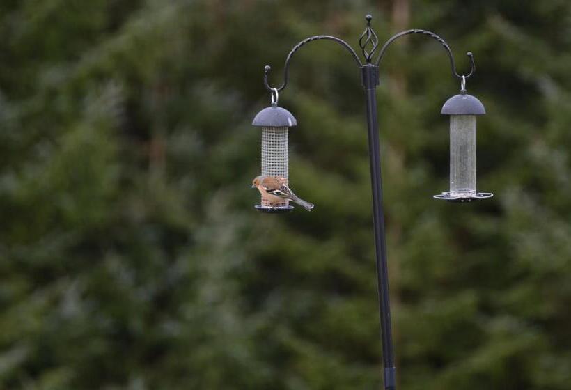 Пансион Ewich House B&b