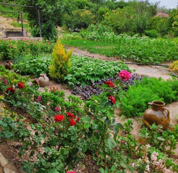 膳宿费 Happy House