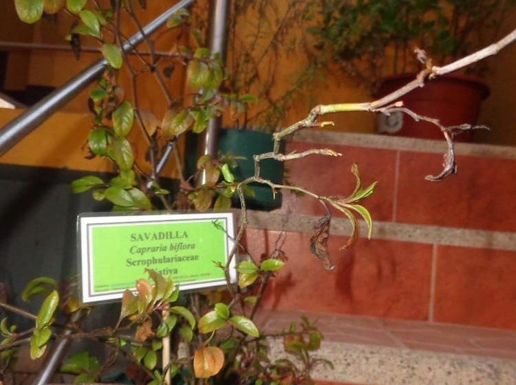 פנסיון Hostal Casa Cascada