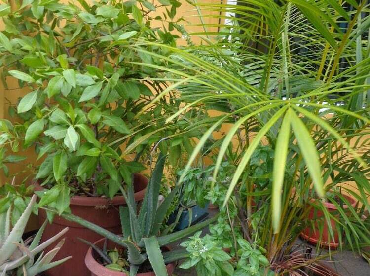 פנסיון Hostal Casa Cascada