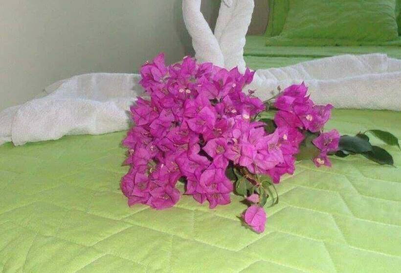 پانسیون Hostal Casa Cascada