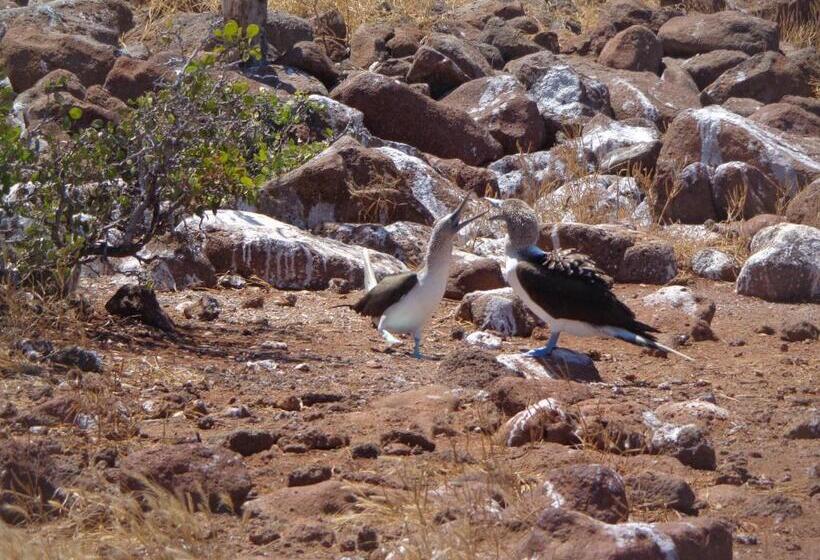 פנסיון Hostal Casa Cascada