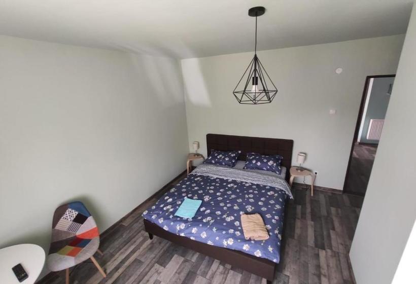 ペンション Podgoria Guesthouse  Camere De închiriat