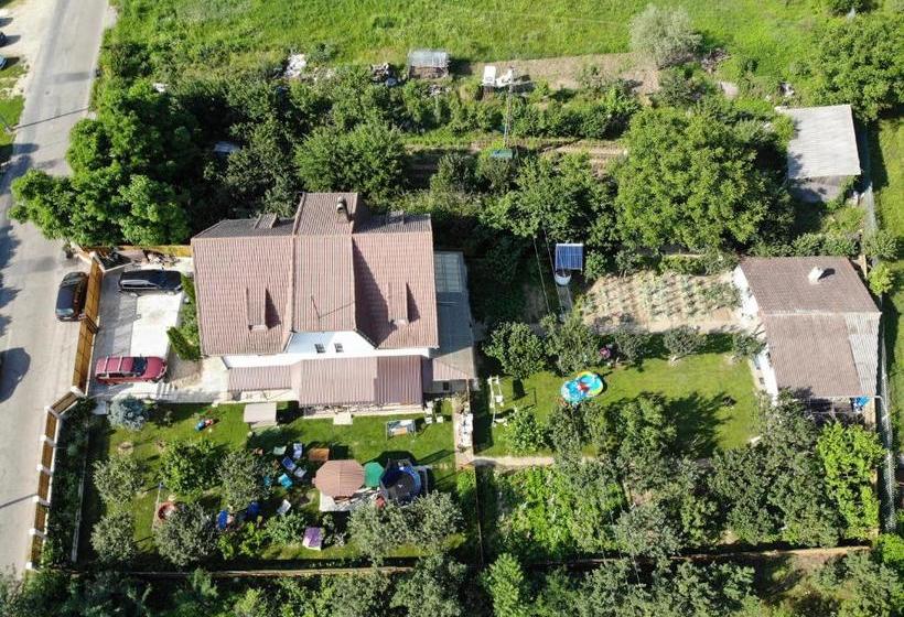 ペンション Podgoria Guesthouse  Camere De închiriat