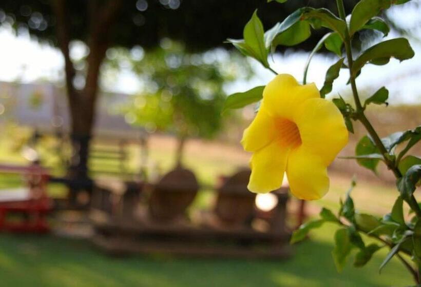 ペンション Pousada Vila Margarida