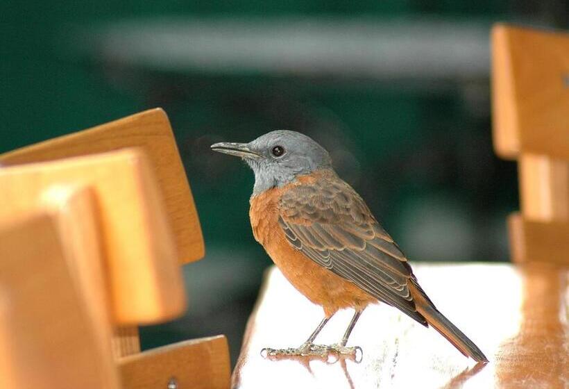 פנסיון The Retreat At Groenfontein