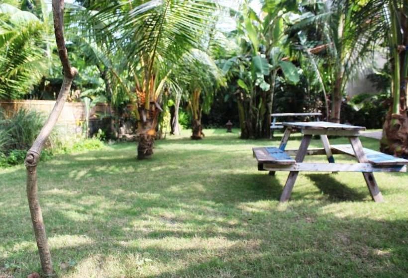 بنسيون Toke Menjangan