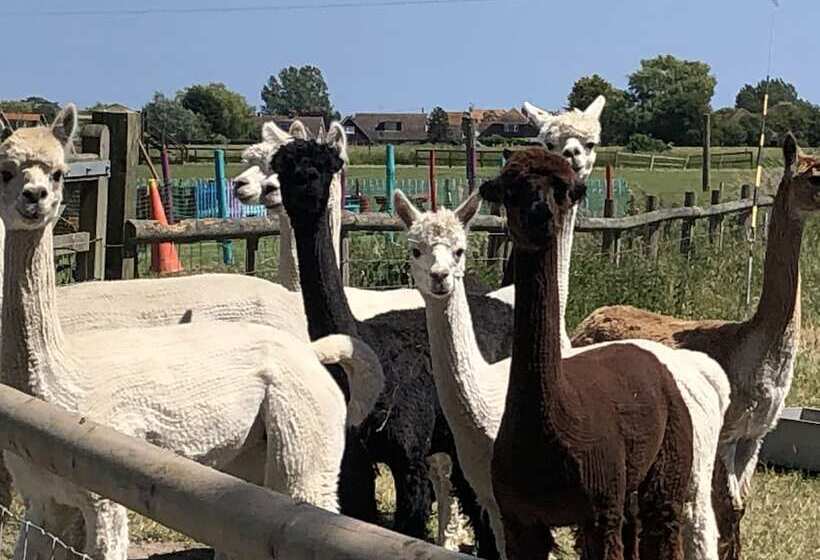 بنسيون Waterside Guesthouse