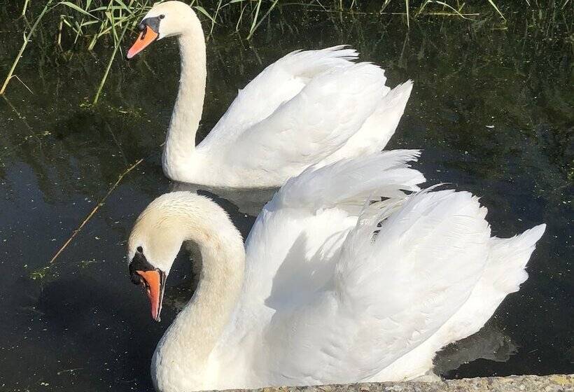 بنسيون Waterside Guesthouse