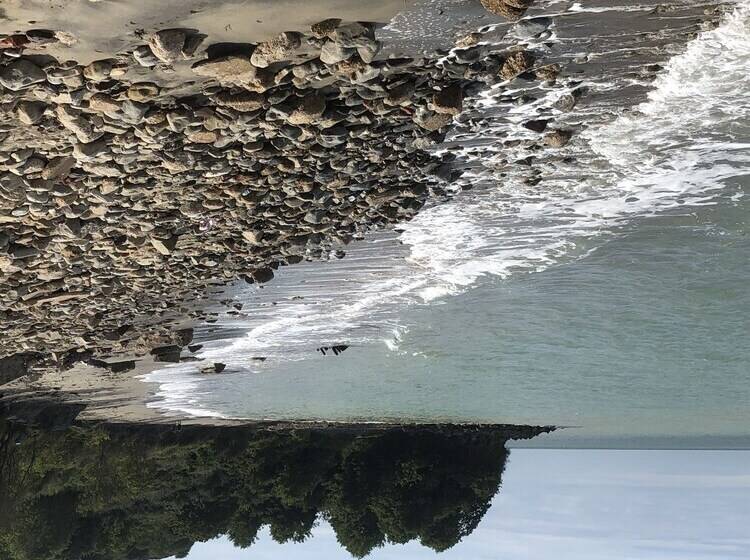 بنسيون Waterside Guesthouse