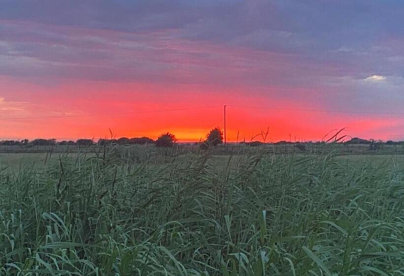بنسيون Waterside Guesthouse
