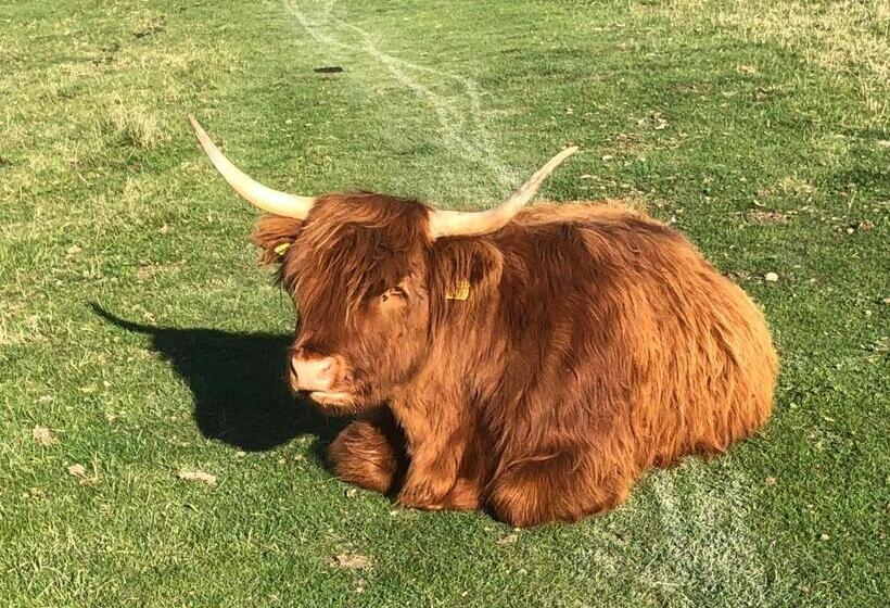 بنسيون Waterside Guesthouse