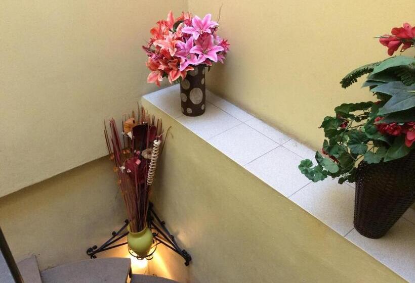 הוסטל Casa De Huéspedes La Rosa