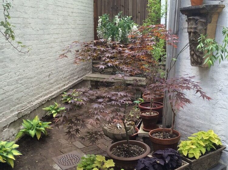 هاستل Incentra Village