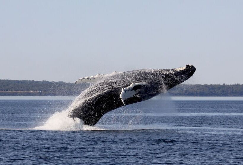 호스텔 La Merveilleuse   House And Pavilions