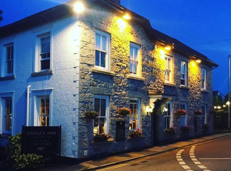 호스텔 The Badger Inn