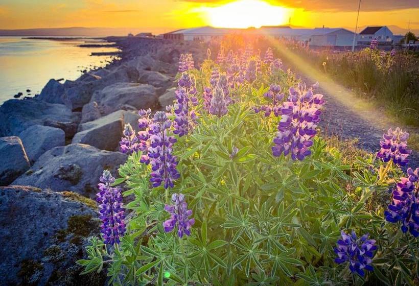 Bakki Apartments & Hostel