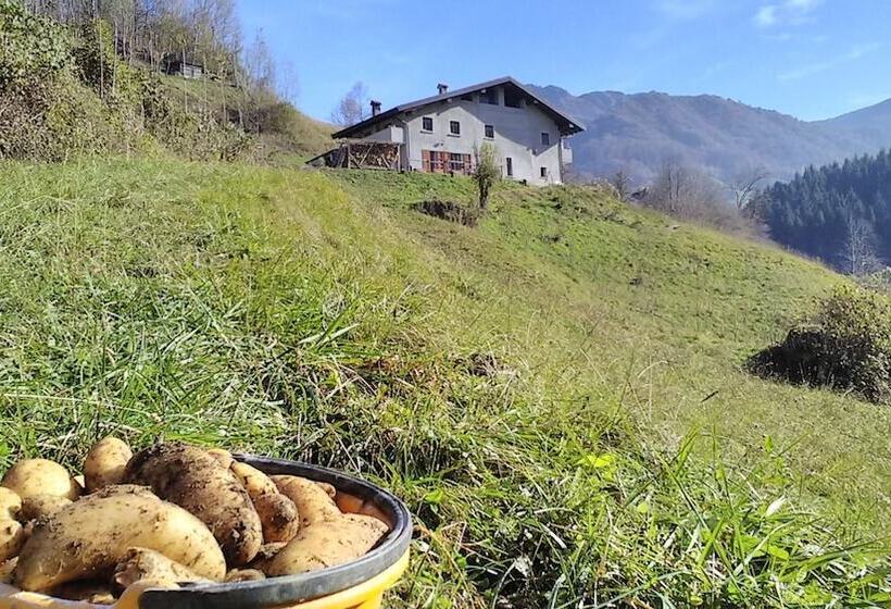 ホテル Agriturismo Cascina Cornella