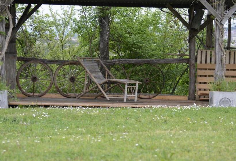 בית מלון כפרי Agriturismo Poggio Ai Grilli