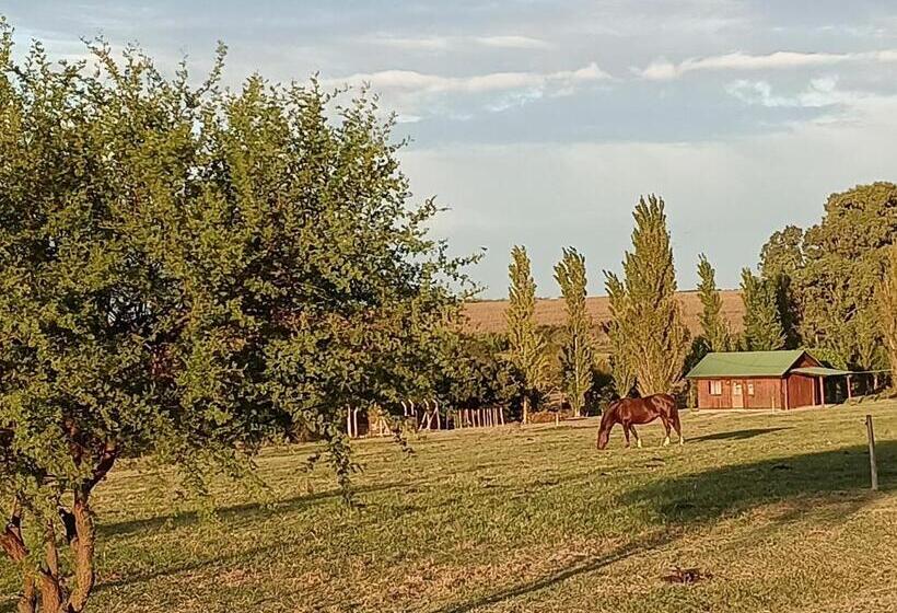 فندق Cabañas Maria Maria Conchillas