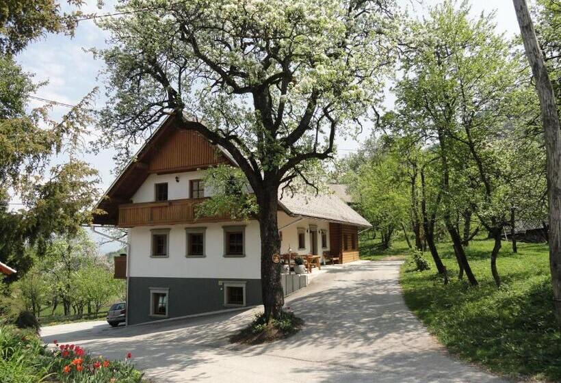 هتل Farm Stay Dolinar Krainer