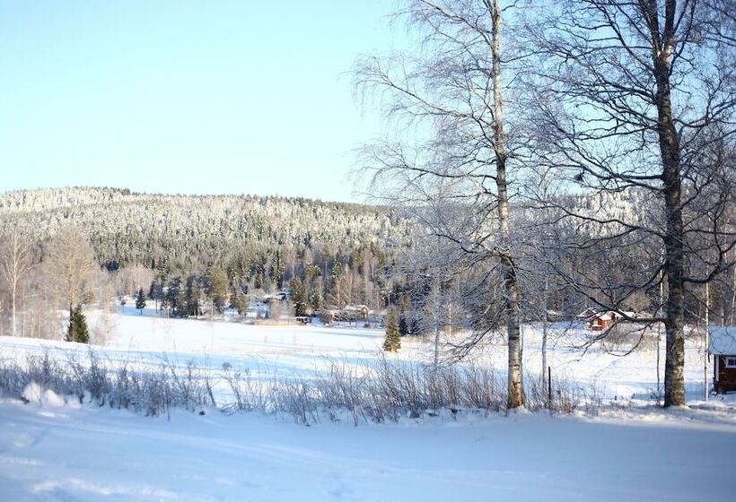 Отель Nyhyttans Kurort