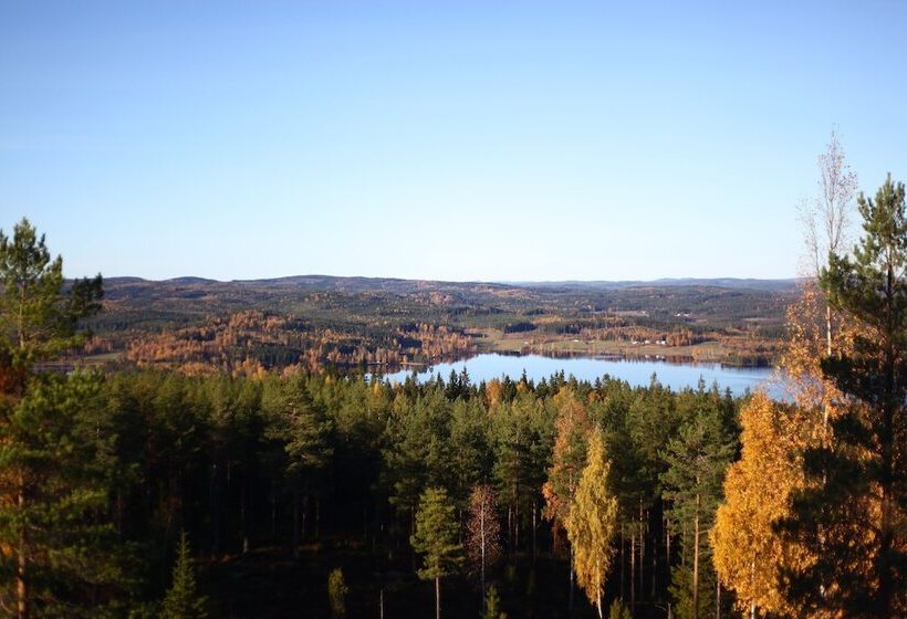 Отель Nyhyttans Kurort