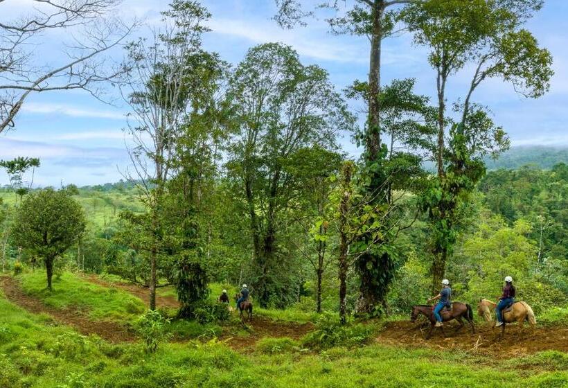 酒店 Catarata Río Celeste