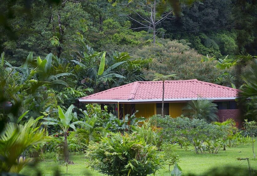 فندق Catarata Río Celeste