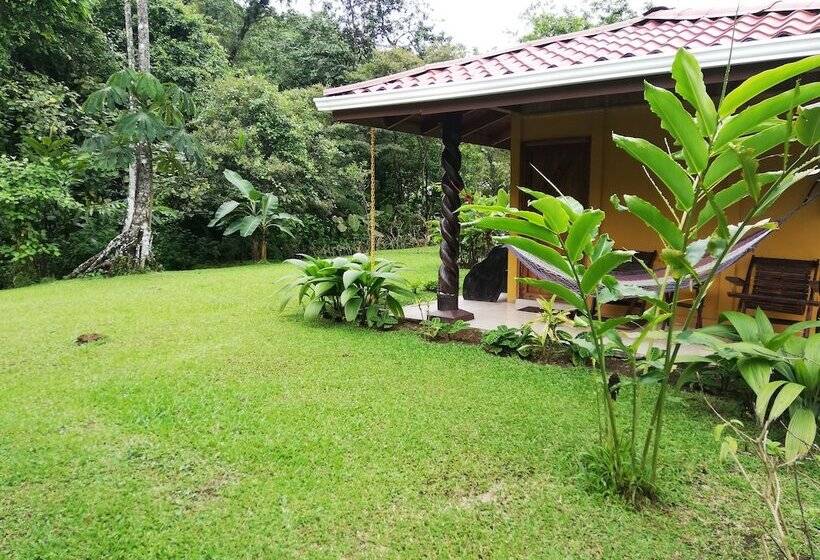 酒店 Catarata Río Celeste