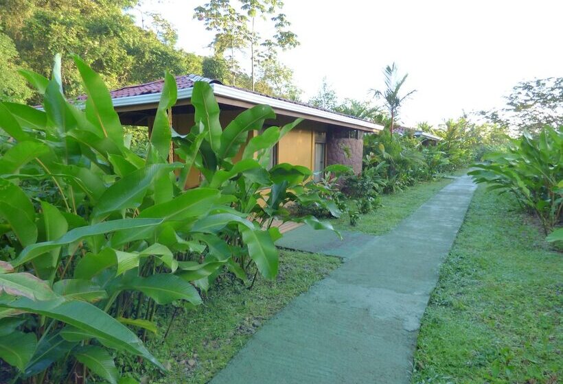 בית מלון כפרי Catarata Río Celeste