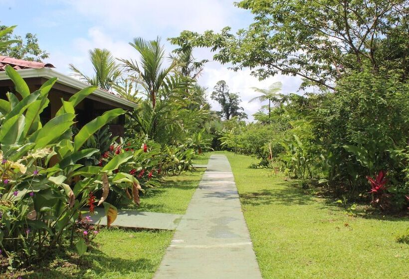 酒店 Catarata Río Celeste