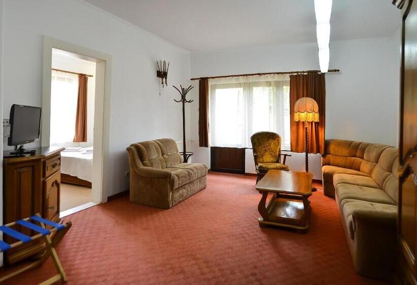 بنسيون Casa Transilvania