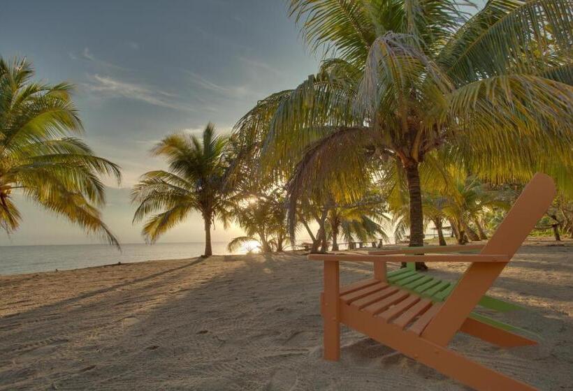 פנסיון Coconut Row Boutique