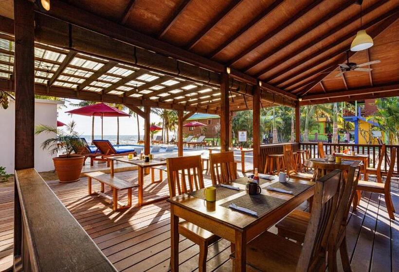 פנסיון Coconut Row Boutique