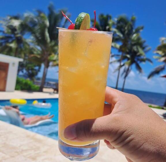 פנסיון Coconut Row Boutique