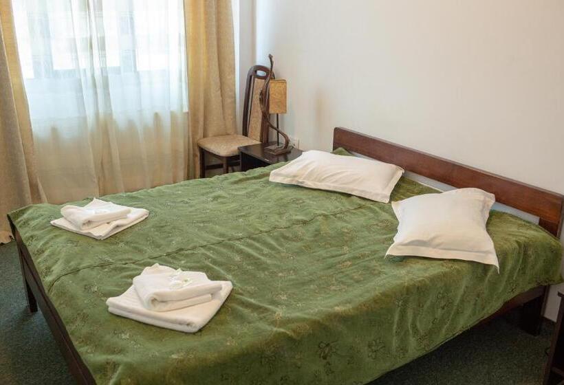 펜션 Curtea Brancovenească