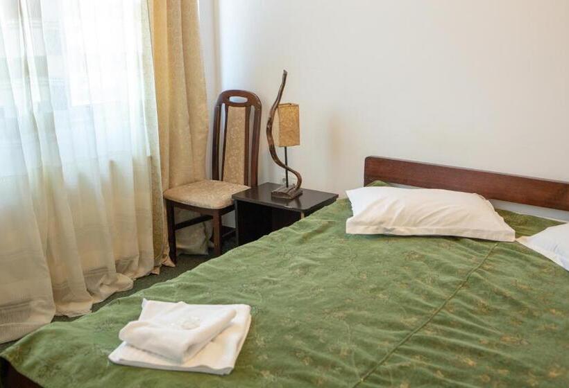 بنسيون Curtea Brancovenească