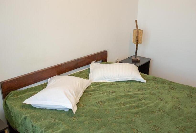 펜션 Curtea Brancovenească