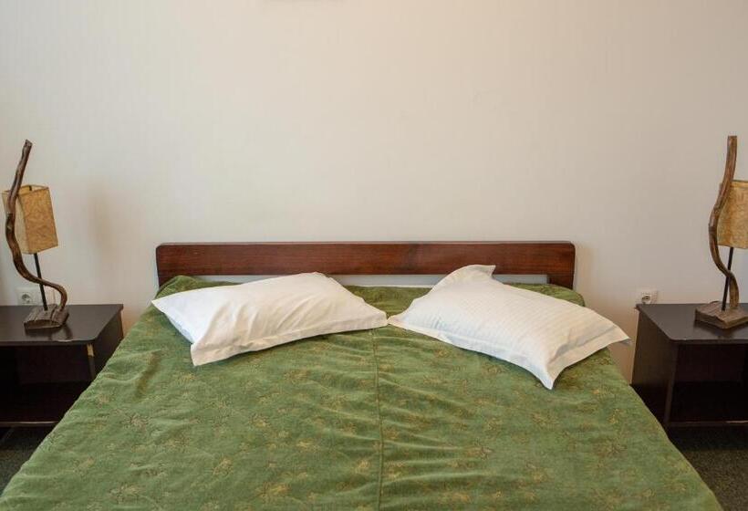 펜션 Curtea Brancovenească