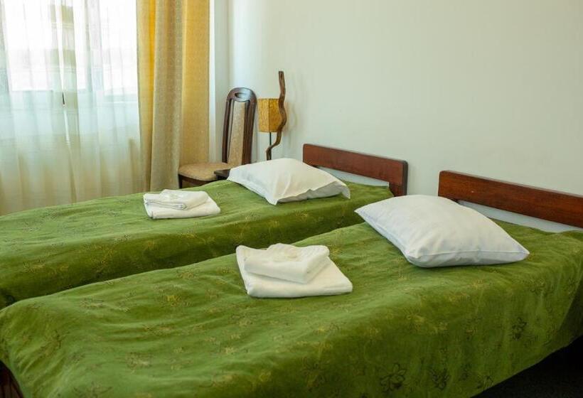 펜션 Curtea Brancovenească