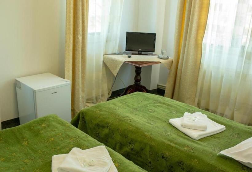 بنسيون Curtea Brancovenească