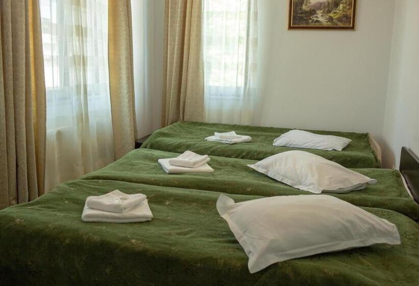 펜션 Curtea Brancovenească