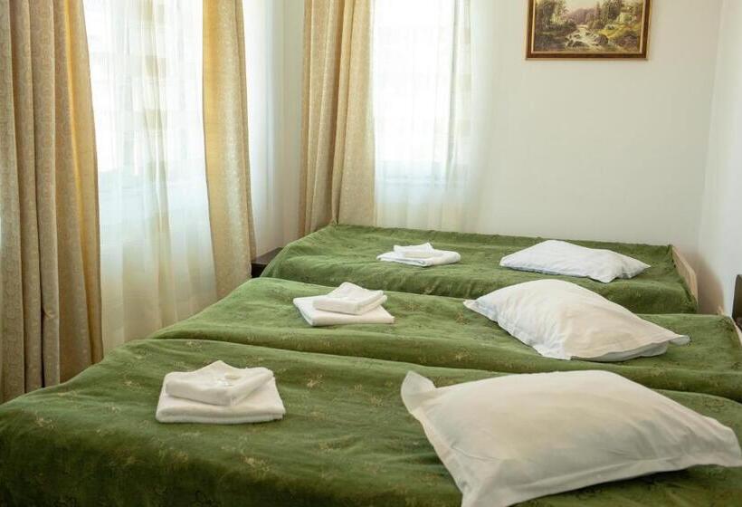 펜션 Curtea Brancovenească