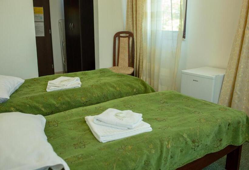 펜션 Curtea Brancovenească